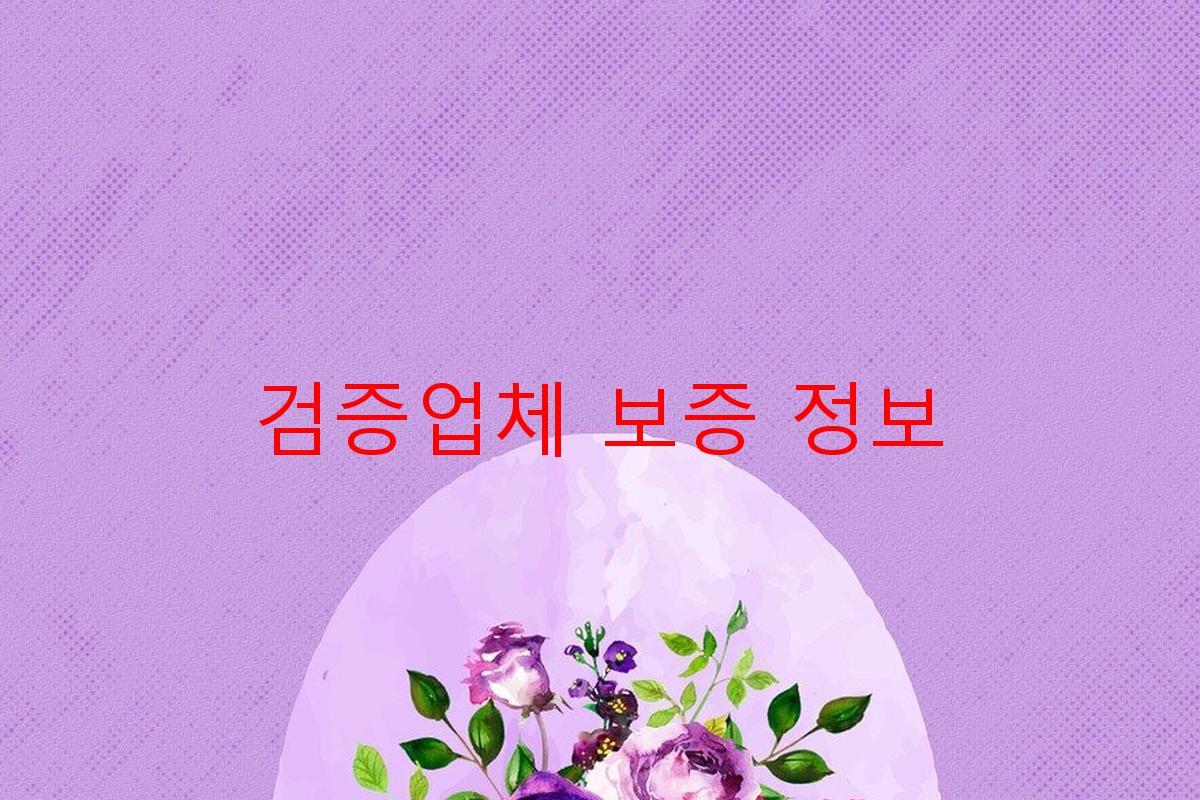 검증업체 보증 정보