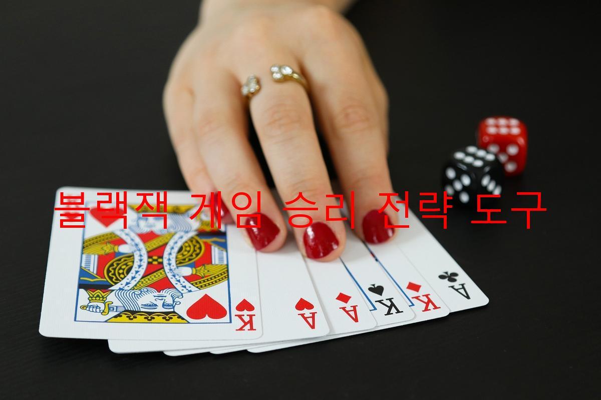 블랙잭 게임 승리 전략 도구
