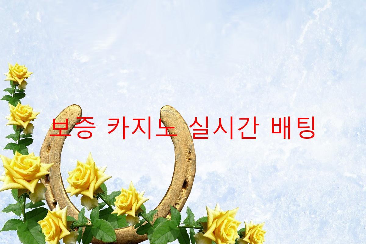 보증 카지노 실시간 배팅