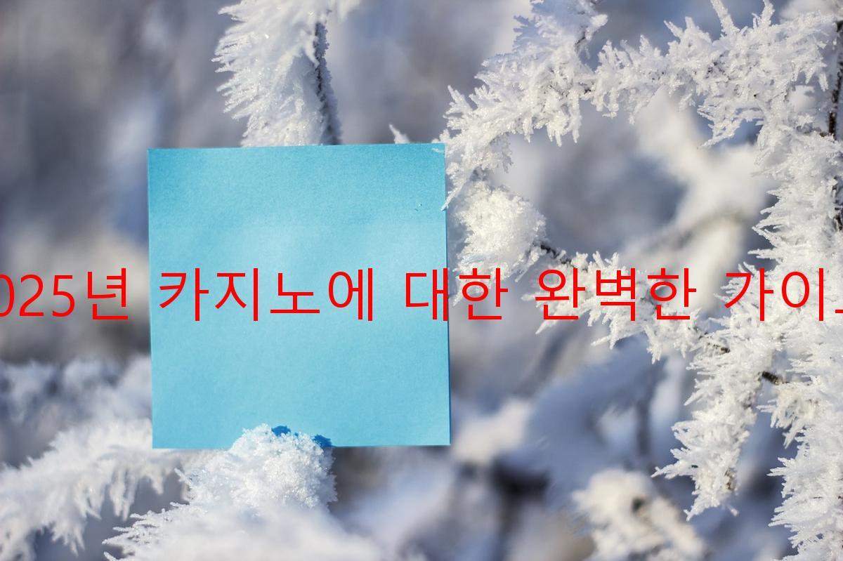 2025년 카지노에 대한 완벽한 가이드