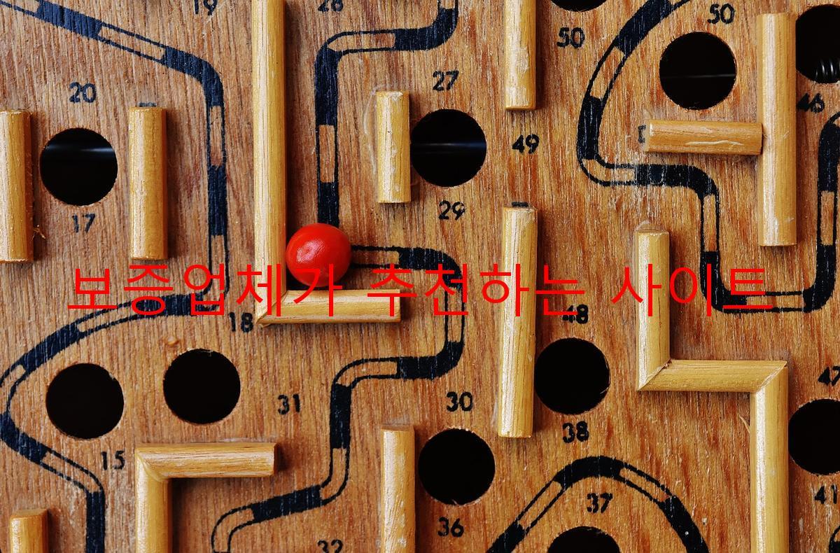 보증업체가 추천하는 사이트