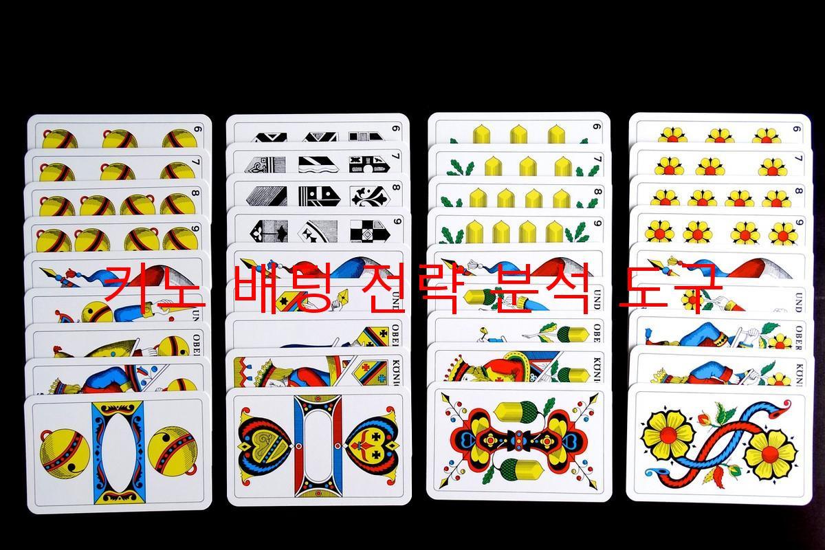 키노 배팅 전략 분석 도구