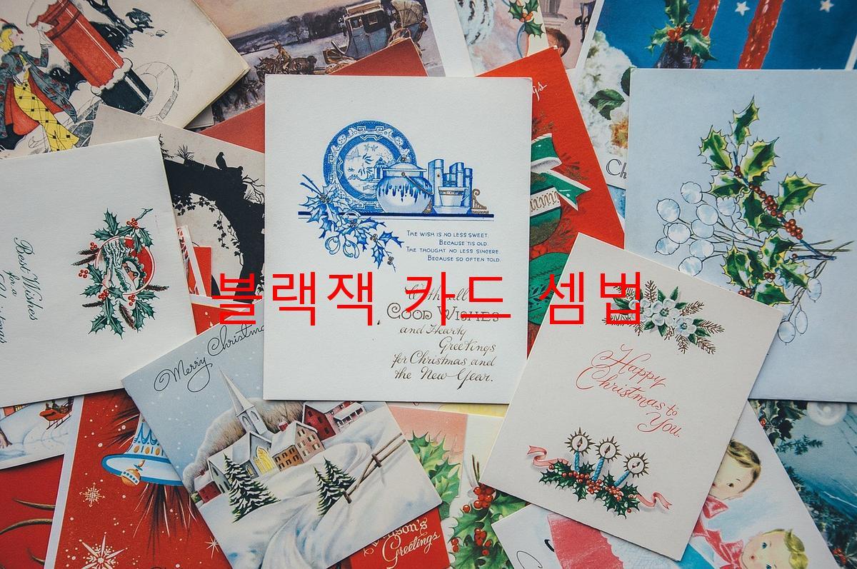 블랙잭 카드 셈법