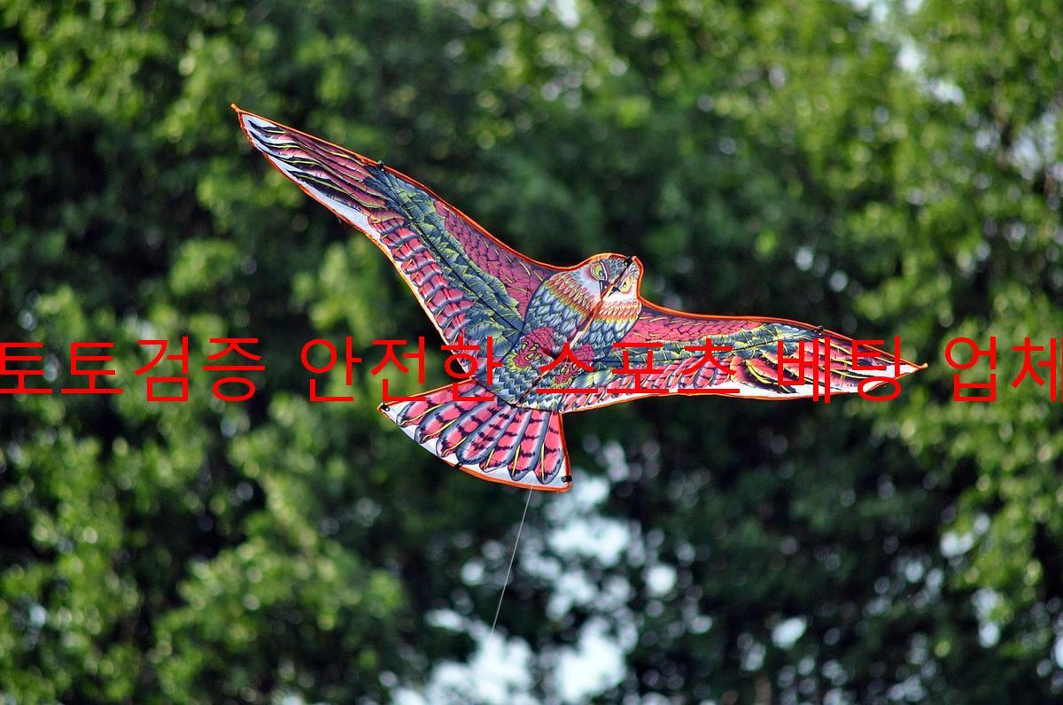 토토검증 안전한 스포츠 베팅 업체