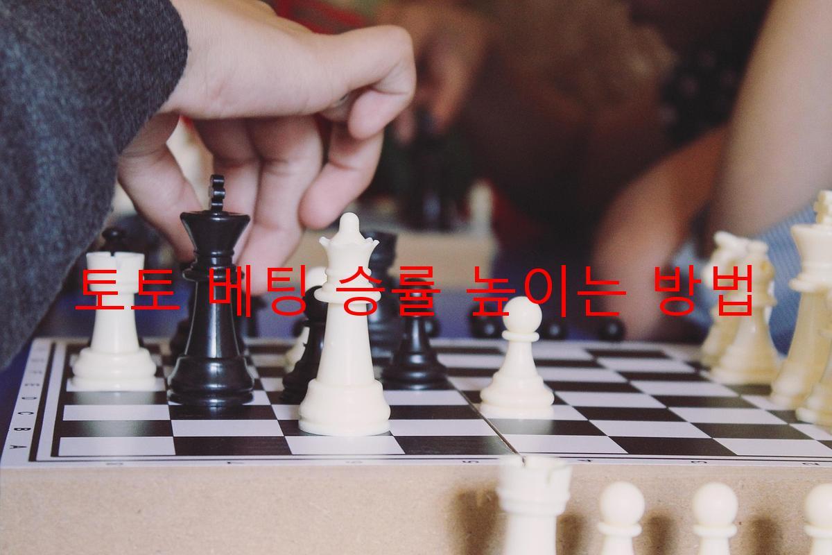 토토 베팅 승률 높이는 방법