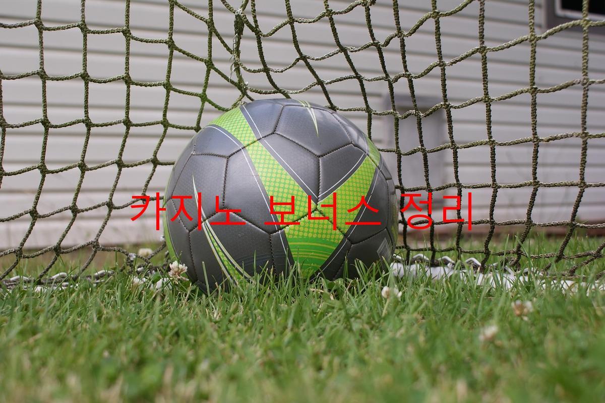 카지노 보너스 정리