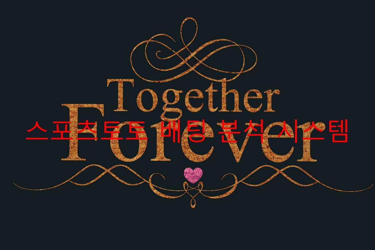 스포츠토토 배팅 분석 시스템