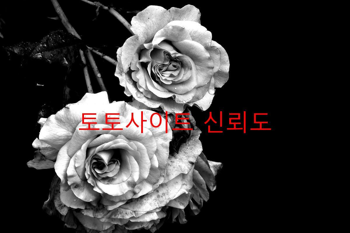 토토사이트 신뢰도