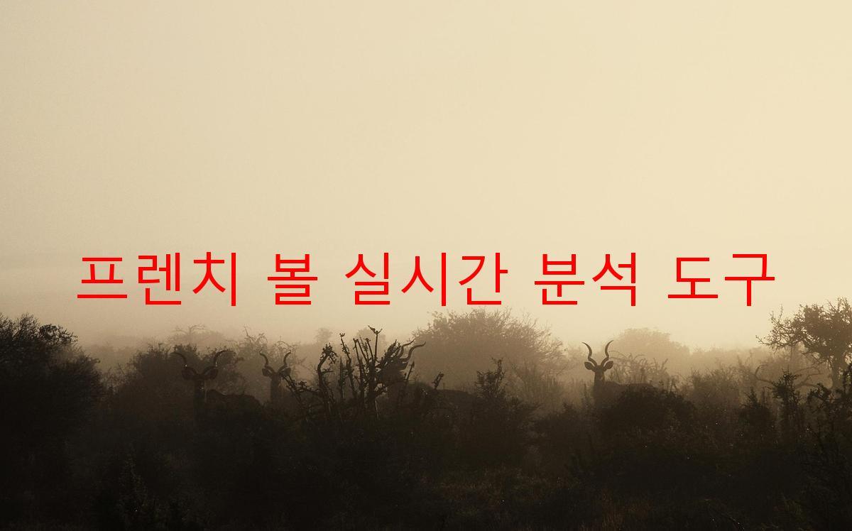 프렌치 볼 실시간 분석 도구