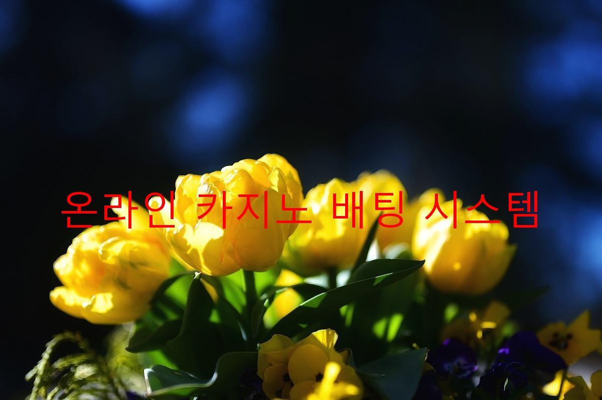 온라인 카지노 배팅 시스템