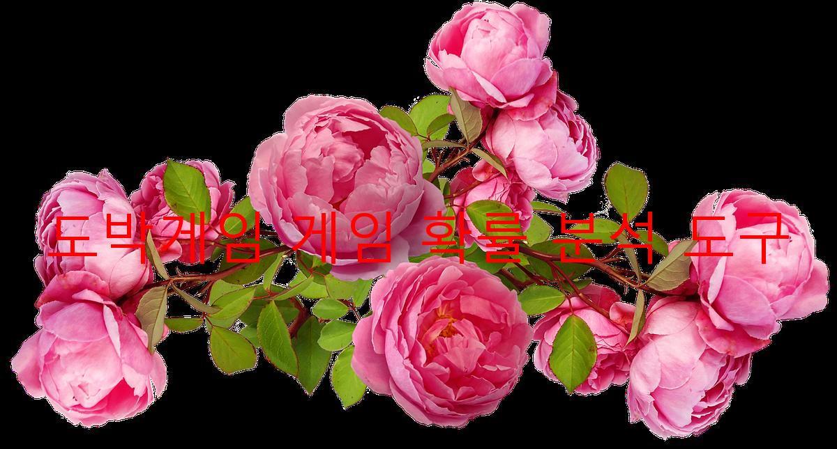 도박게임 게임 확률 분석 도구