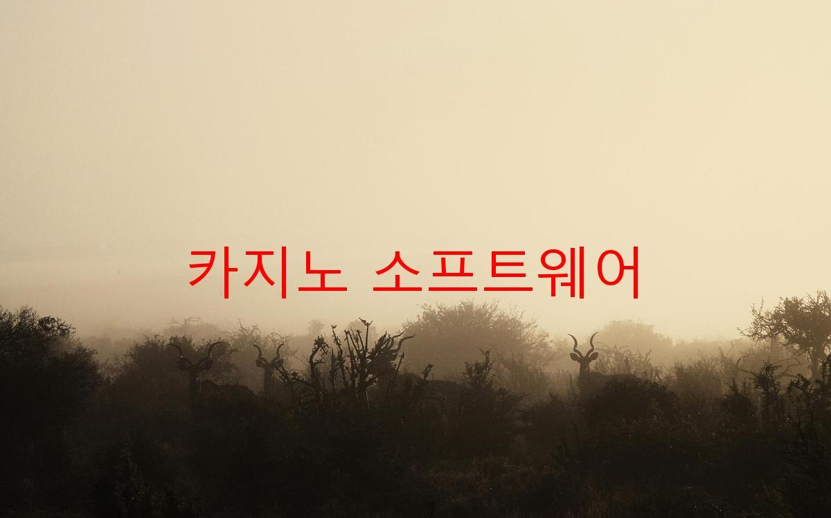 카지노 소프트웨어