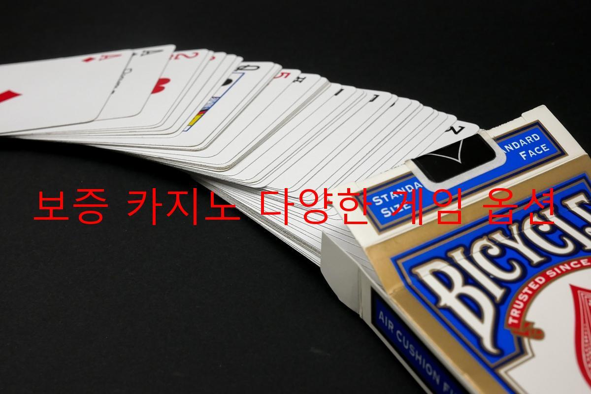 보증 카지노 다양한 게임 옵션