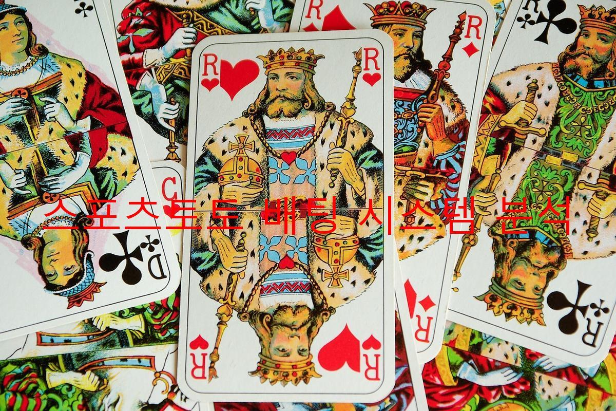 스포츠토토 배팅 시스템 분석