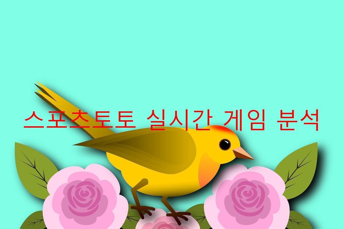 스포츠토토 실시간 게임 분석