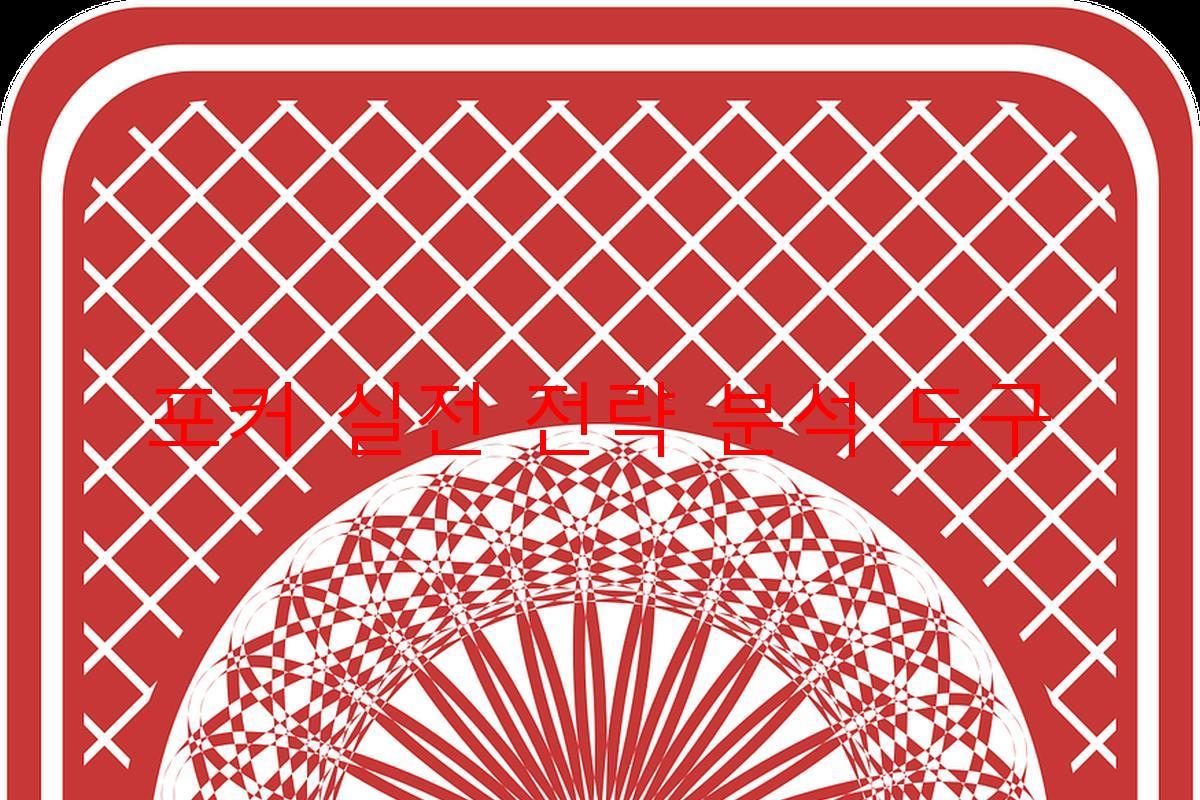 포커 실전 전략 분석 도구