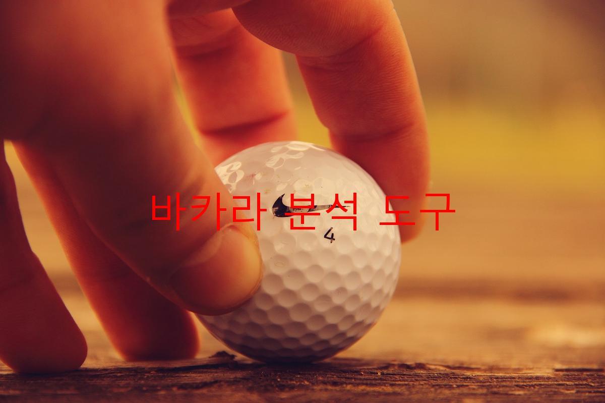 바카라 분석 도구