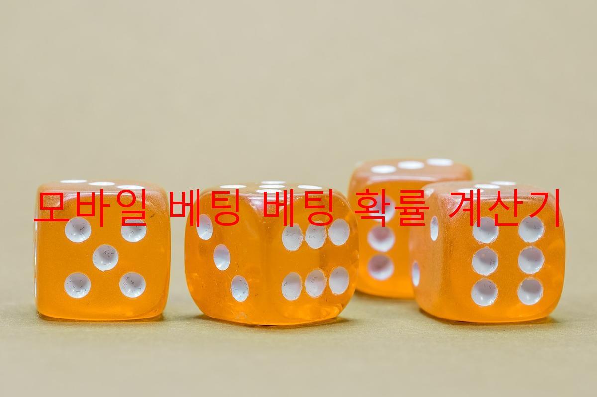 모바일 베팅 베팅 확률 계산기
