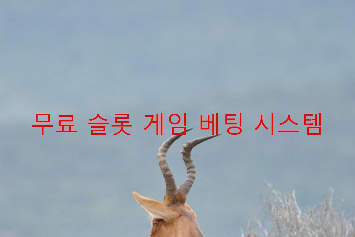 무료 슬롯 게임 베팅 시스템