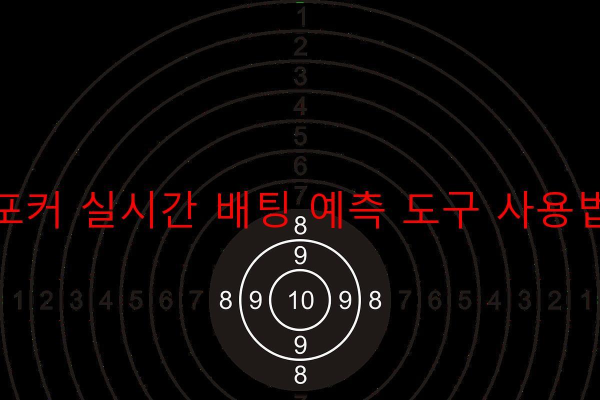 포커 실시간 배팅 예측 도구 사용법