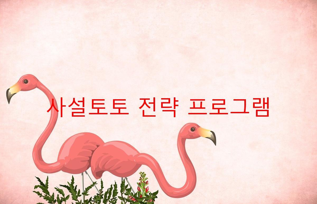 사설토토 전략 프로그램