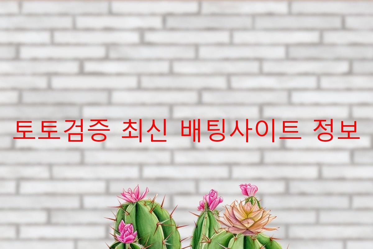 토토검증 최신 배팅사이트 정보