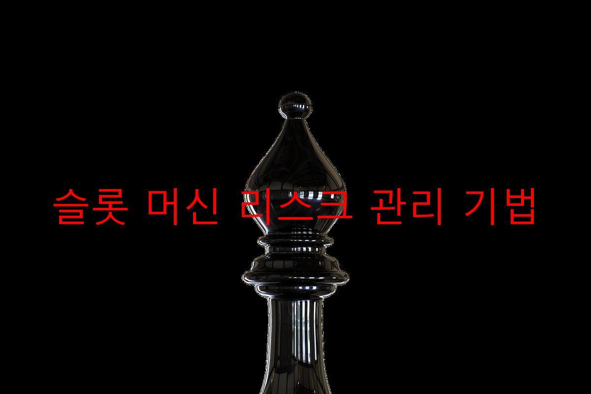 슬롯 머신 리스크 관리 기법