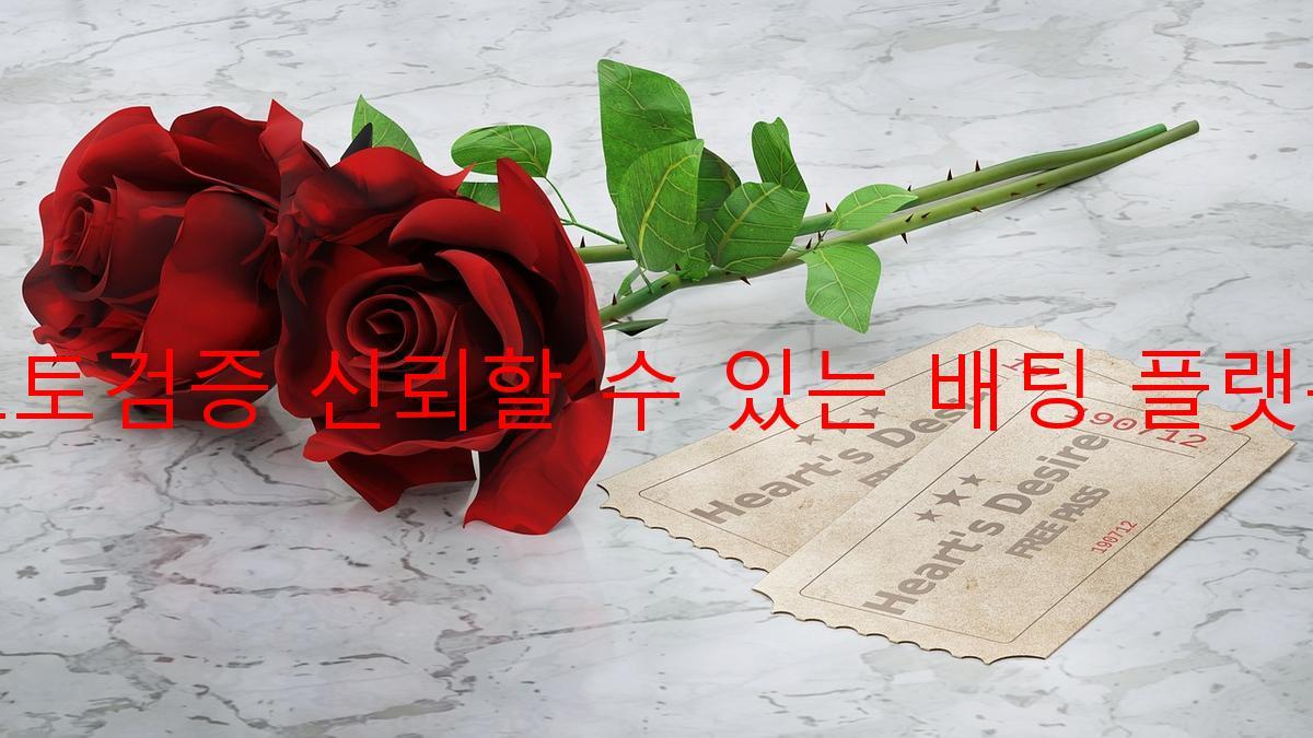 토토검증 신뢰할 수 있는 배팅 플랫폼