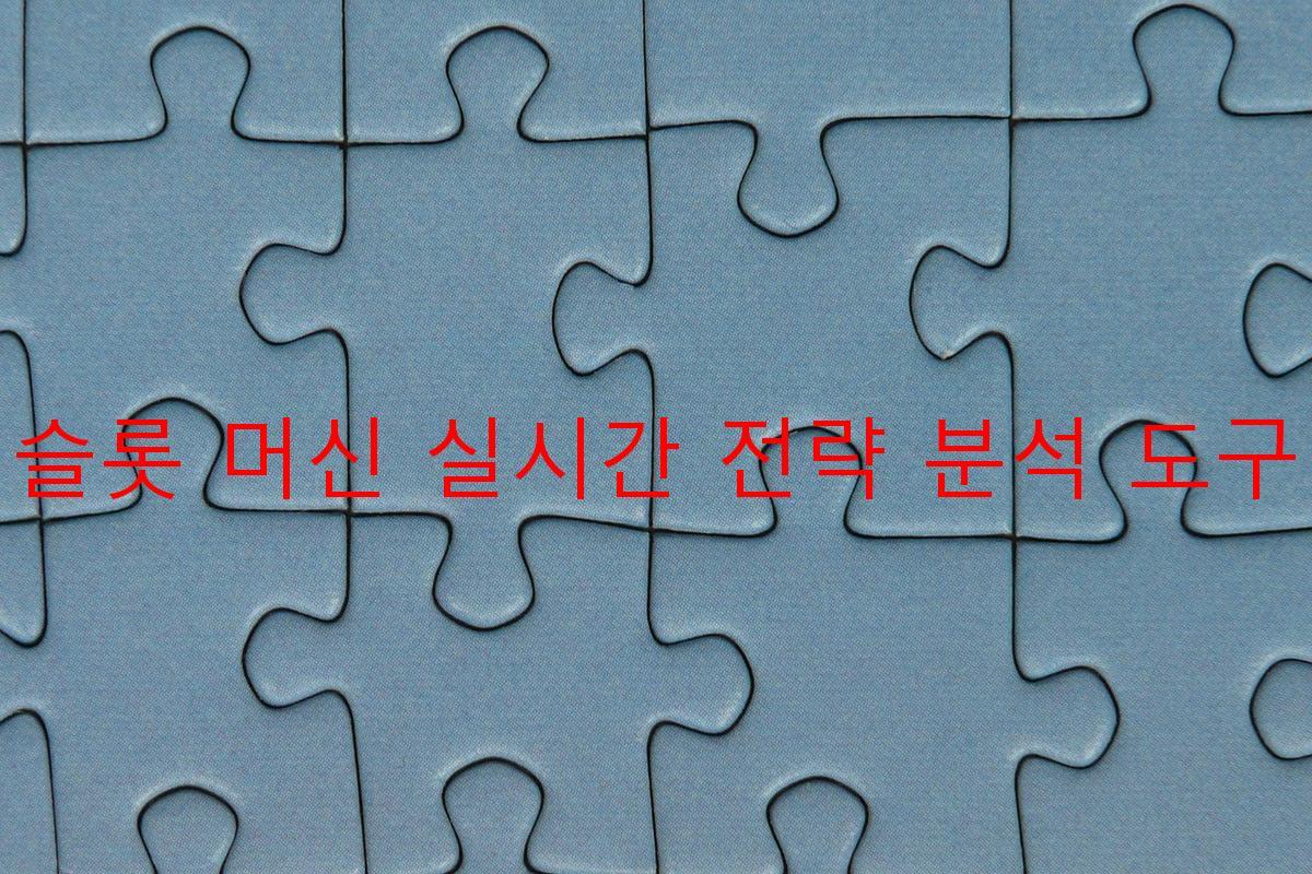 슬롯 머신 실시간 전략 분석 도구