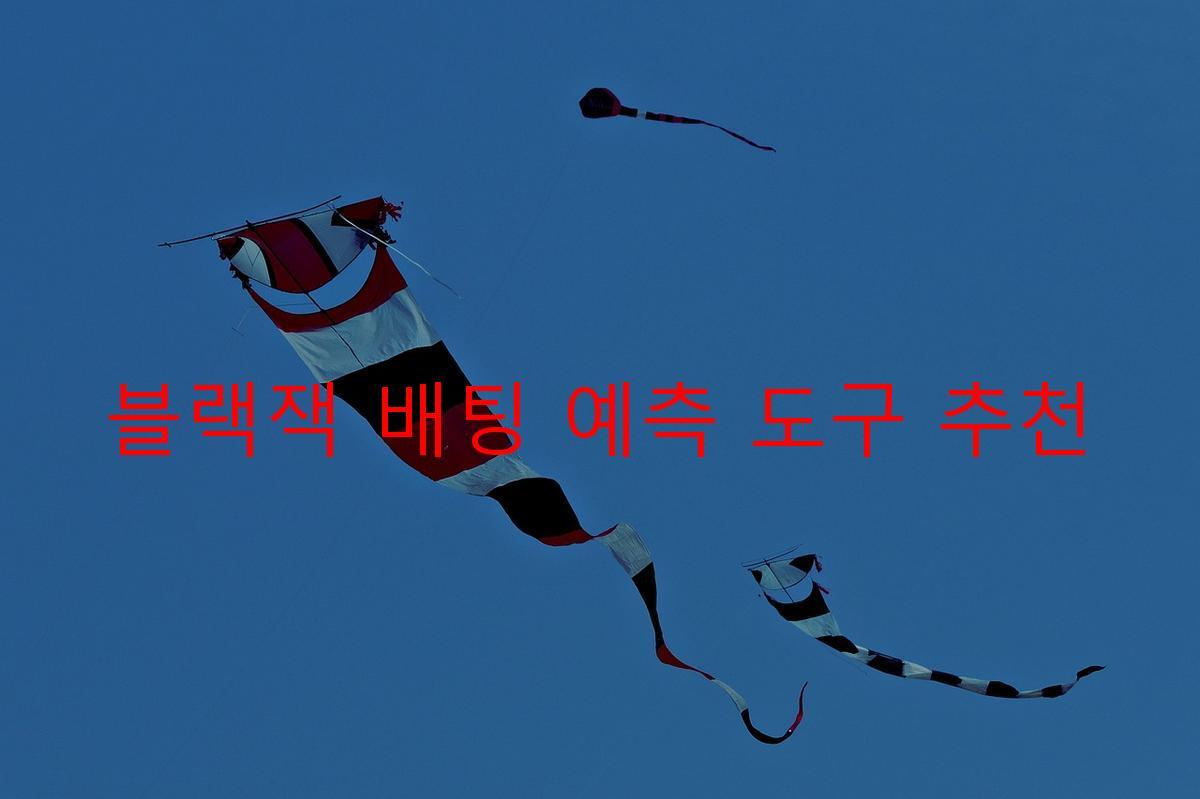 블랙잭 배팅 예측 도구 추천