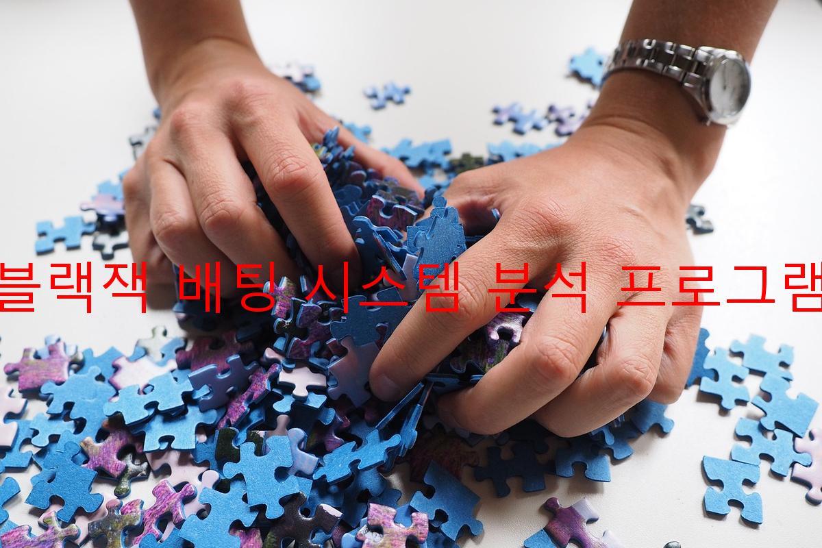 블랙잭 배팅 시스템 분석 프로그램