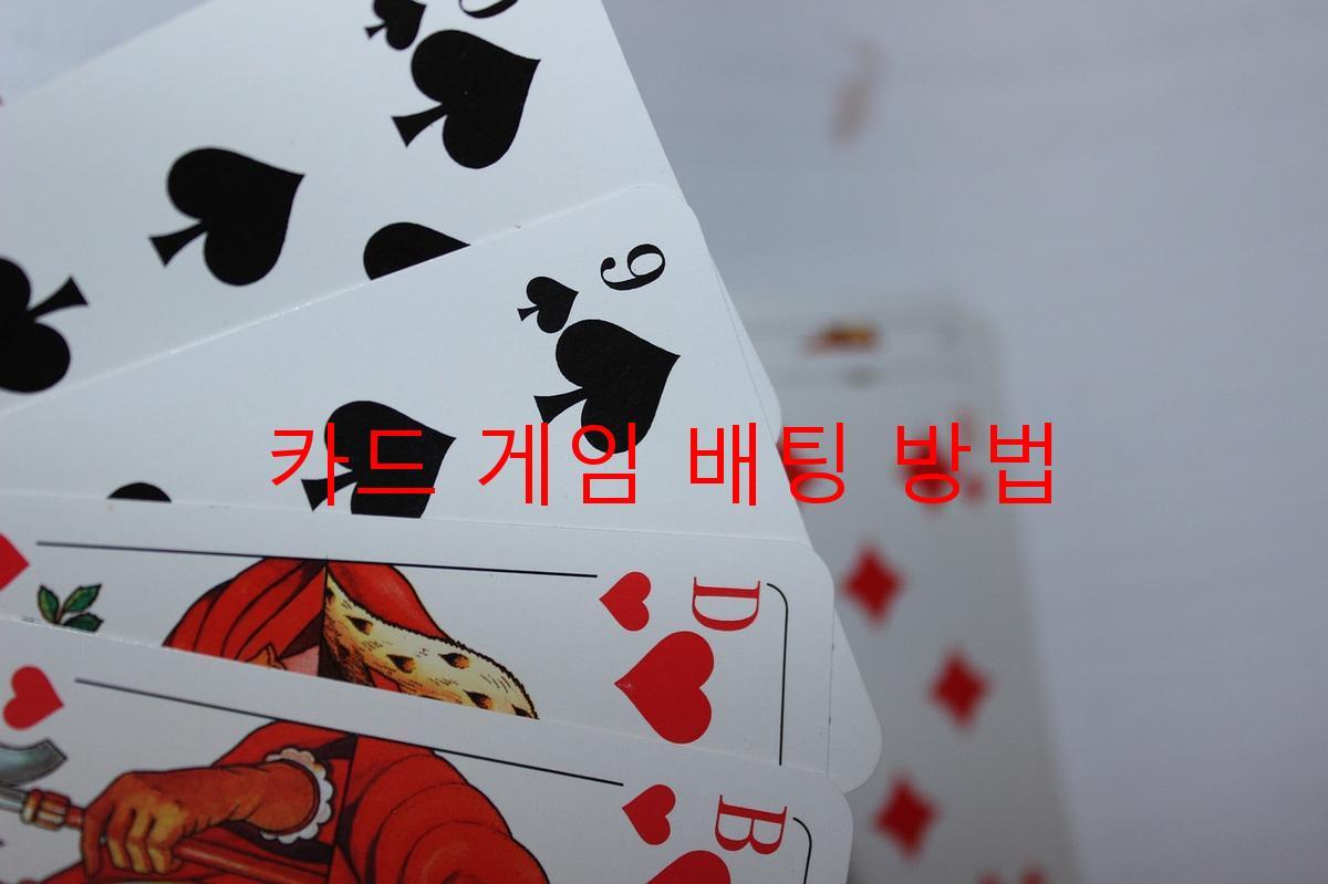 카드 게임 배팅 방법