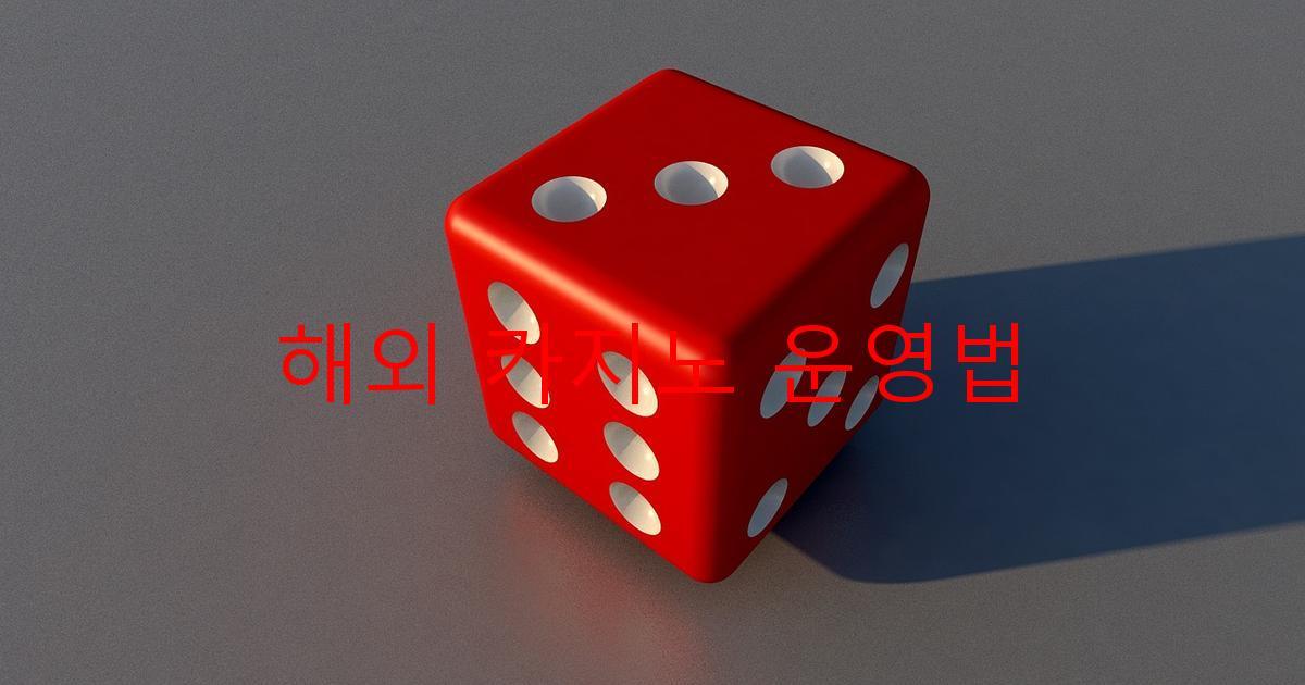 해외 카지노 운영법