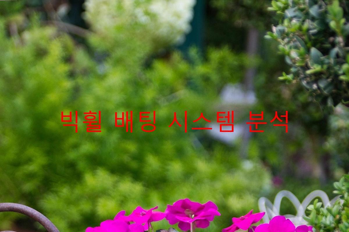 빅휠 배팅 시스템 분석