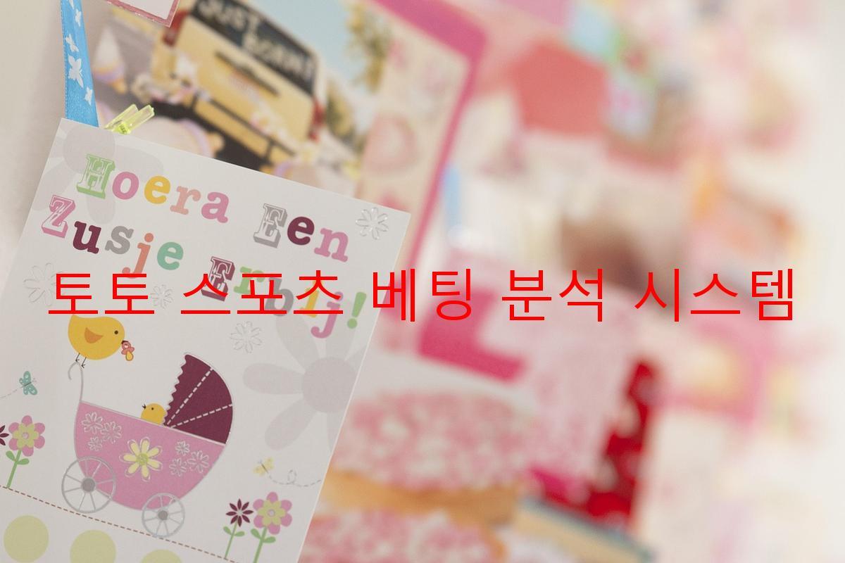 토토 스포츠 베팅 분석 시스템