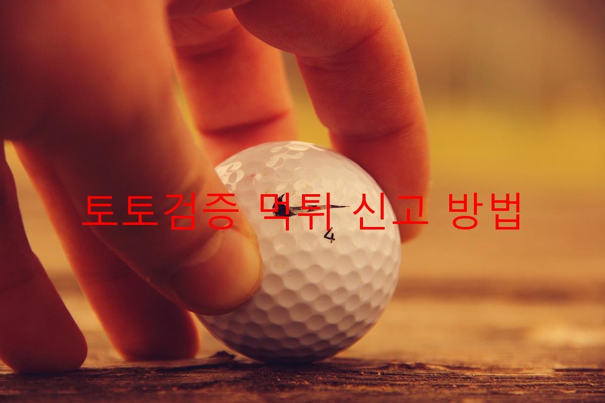 토토검증 먹튀 신고 방법