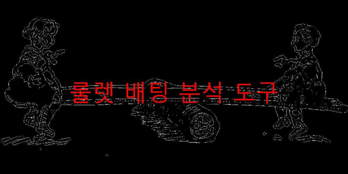 룰렛 배팅 분석 도구