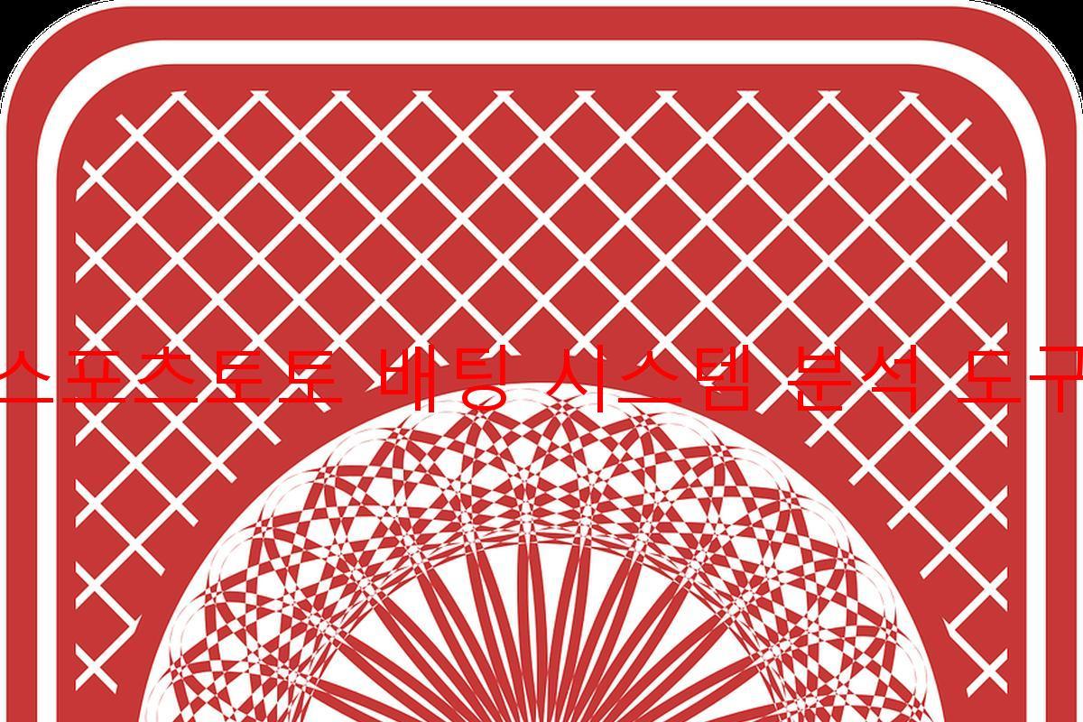 스포츠토토 배팅 시스템 분석 도구