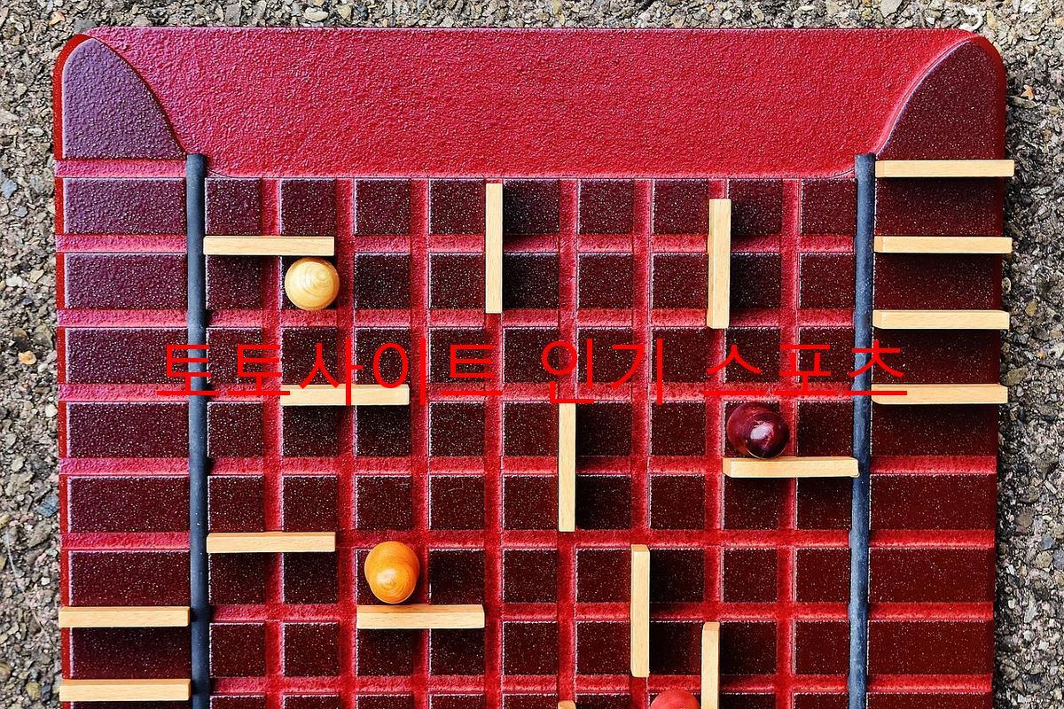 토토사이트 인기 스포츠