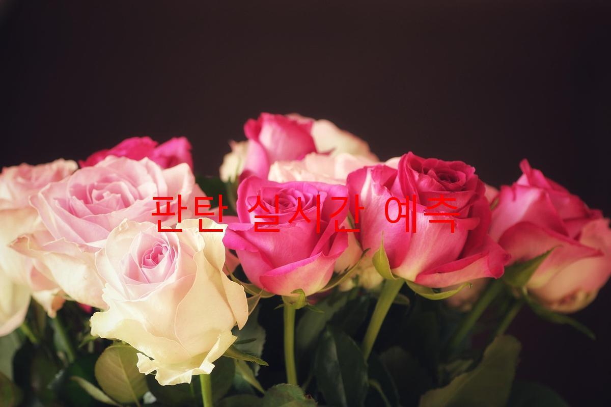 판탄 실시간 예측