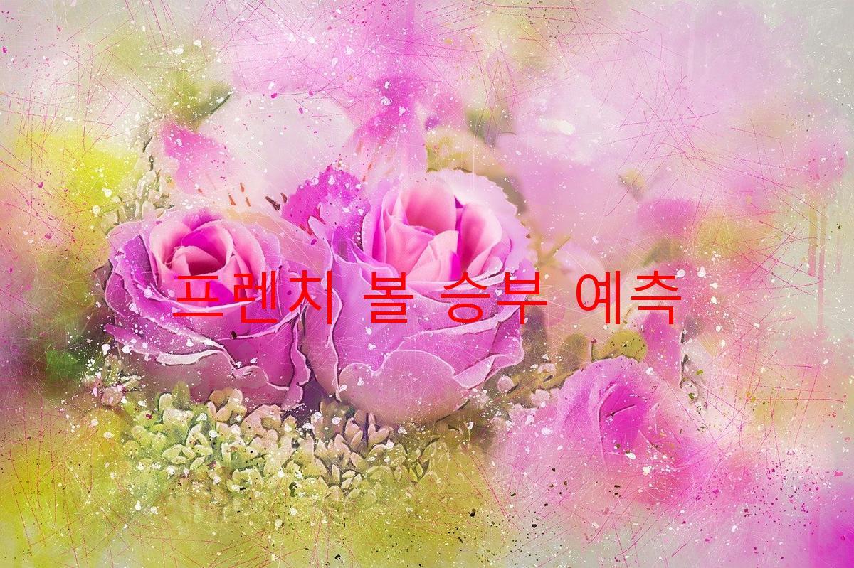 프렌치 볼 승부 예측