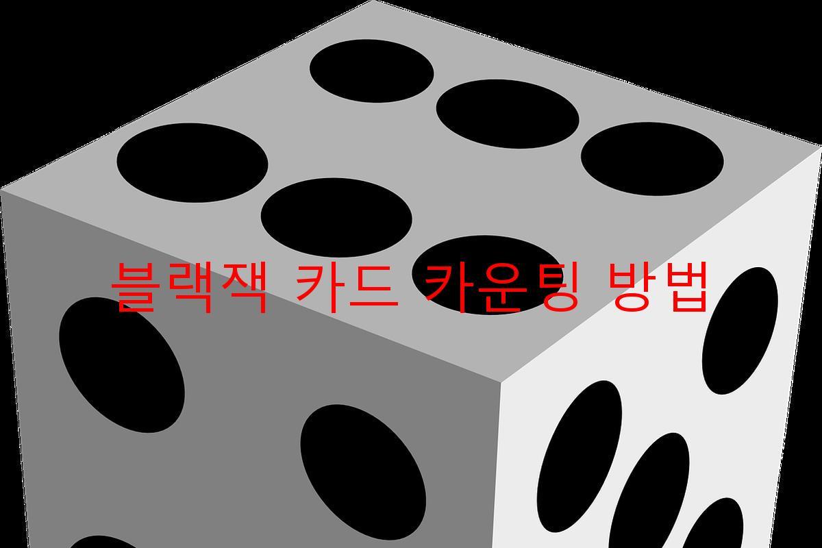 블랙잭 카드 카운팅 방법
