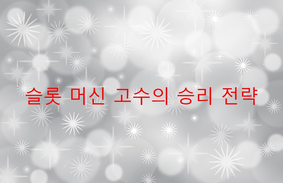 슬롯 머신 고수의 승리 전략