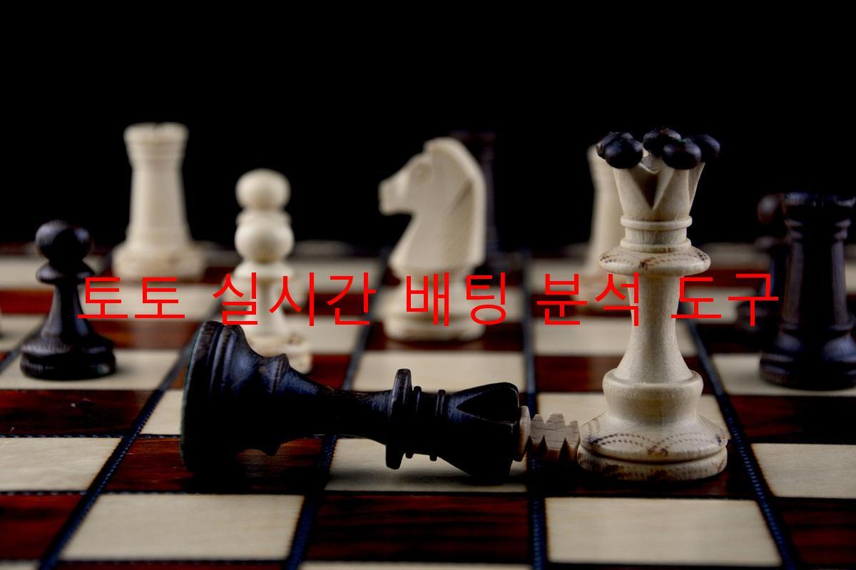 토토 실시간 배팅 분석 도구