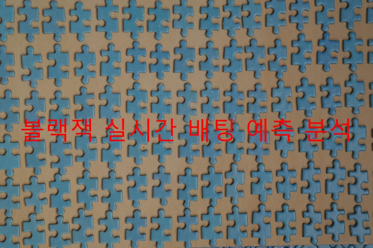 블랙잭 실시간 배팅 예측 분석