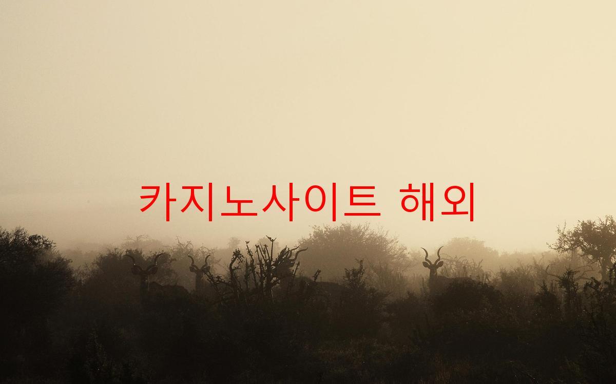 카지노사이트 해외