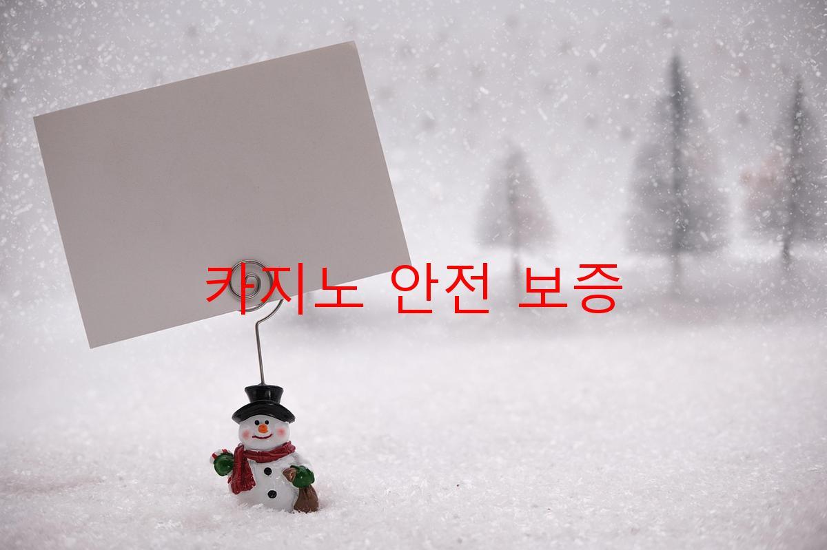 카지노 안전 보증