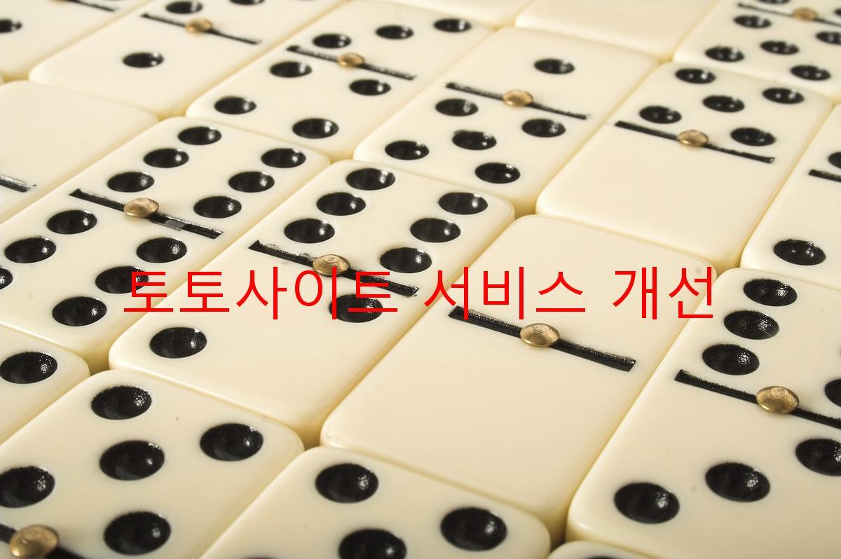 토토사이트 서비스 개선