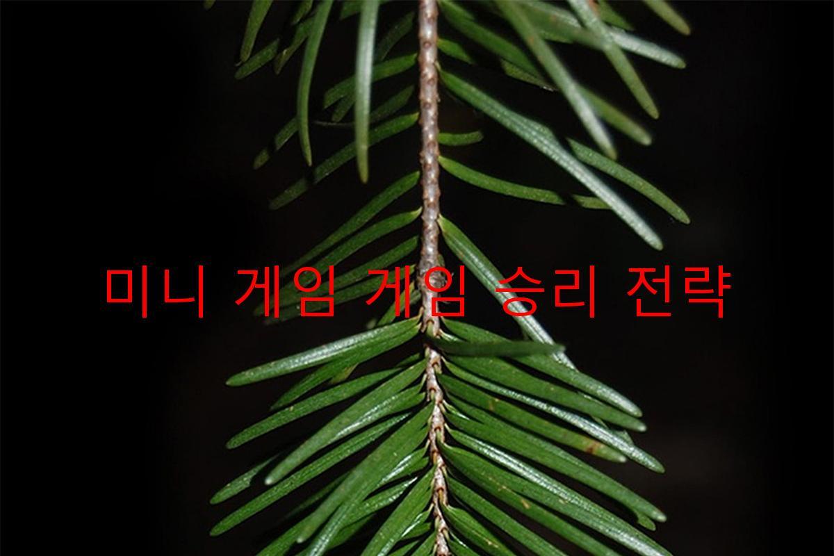 미니 게임 게임 승리 전략