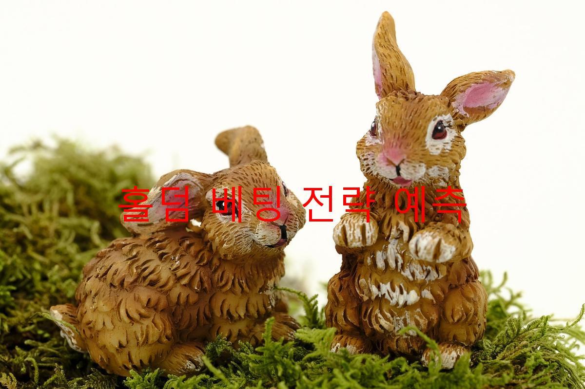 홀덤 베팅 전략 예측